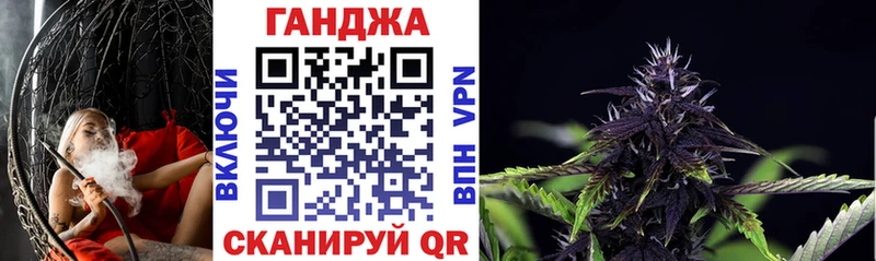 Магазины продажи наркотиков Новотроицк Галлюциногенные грибы  СОЛЬ  ГАШИШ  Cocaine  Канабис 