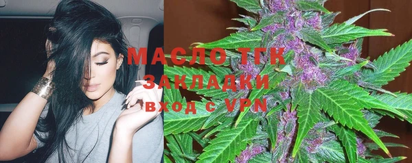 гидра Рославль